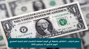 سعر الدولار.. انخفاض ملحوظ في قيمة العملة الخضراء أمام الجنيه المصري اليوم الاثنين 15 سبتمبر 2025